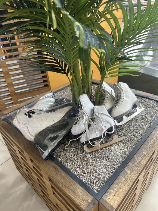 коньки профиссиональный