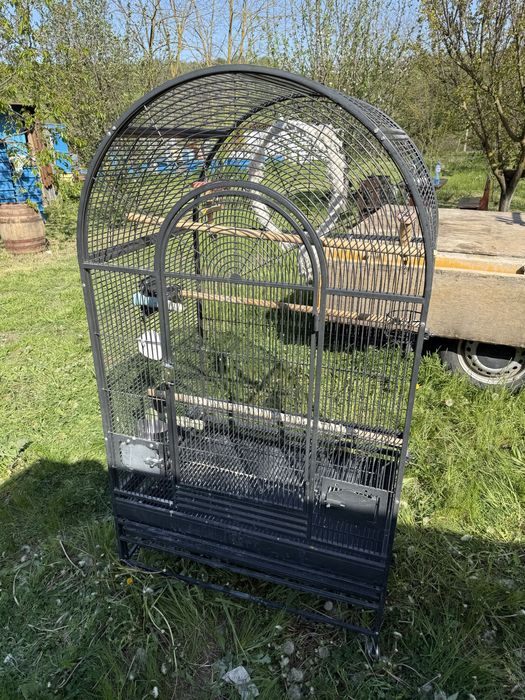 Голяма клетка за папагал