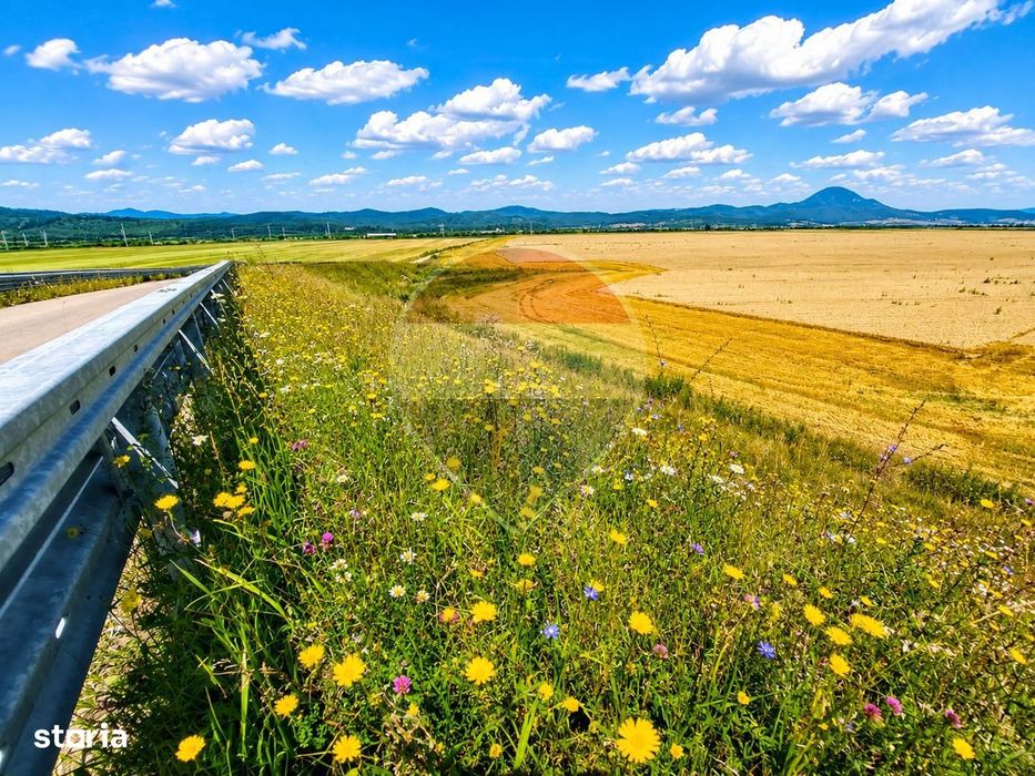Teren extravilan 17,000mp Rasnov langa Autostrada A3, zona industriala