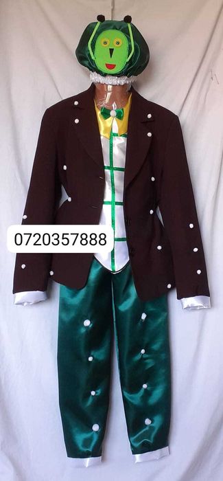 Costum Greiere pentru copii 9-10-11-12 ani