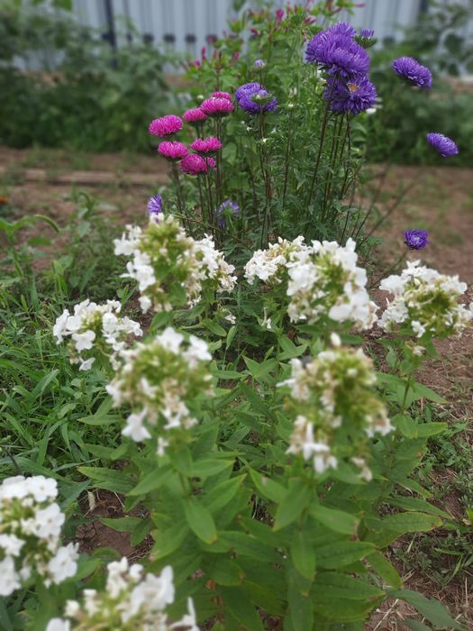 Продам дачу со Агротехснаб