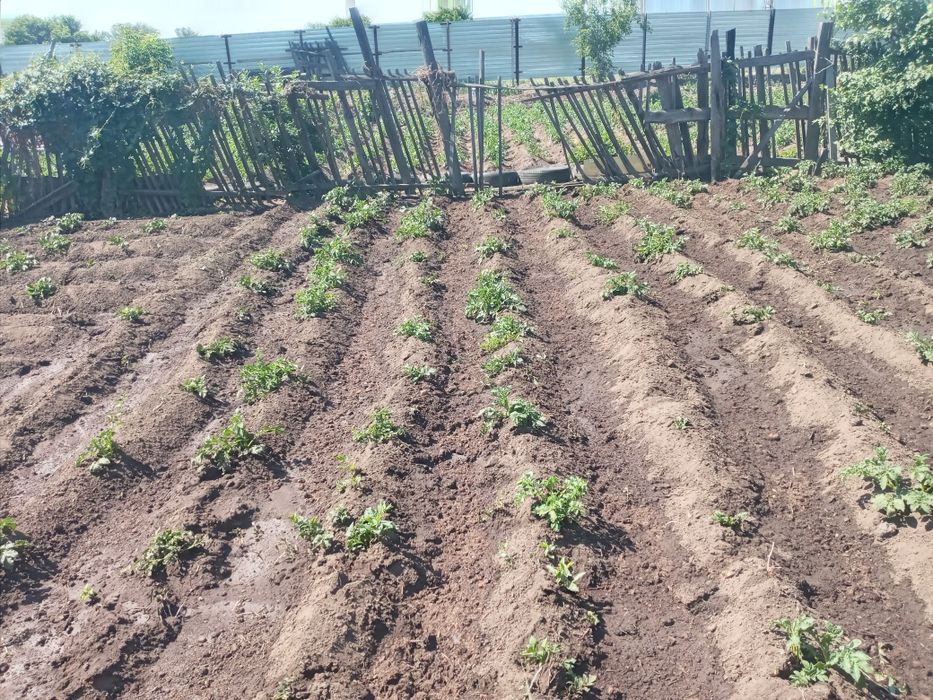 Продаётся хороший Дача в майкадуке торг есть