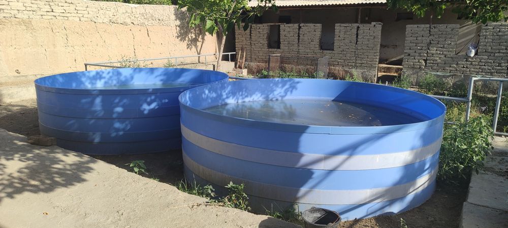 baliq boqish yoki boshqa maqsadlar uchun basseyn