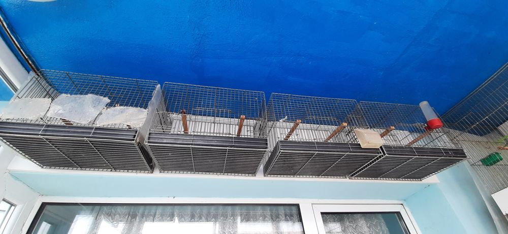 Продавам волиери, клетки, кафези и аксесоари