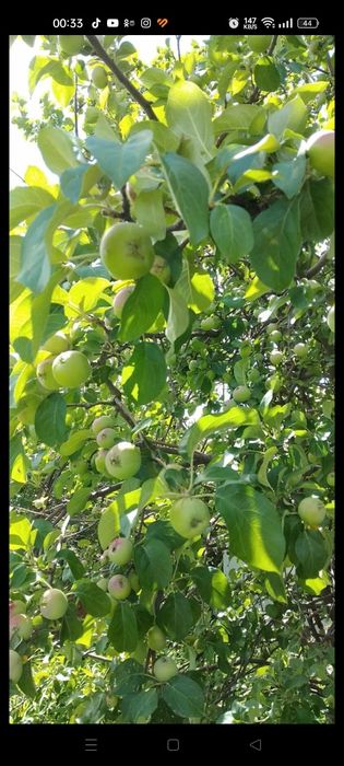 Продам дачу район ГМЗ