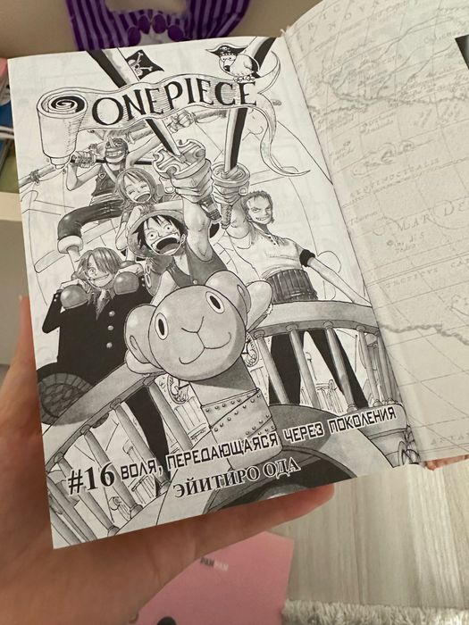 Книга Ванпис Большой куш