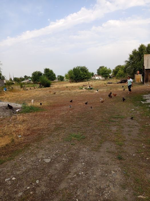 Продам дом с Алдабергенова