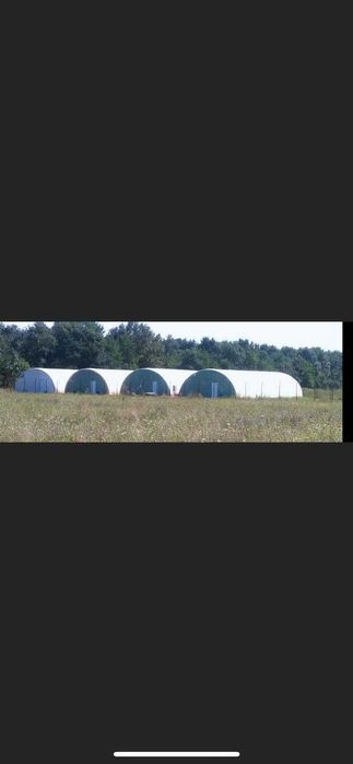 Teren/sere VANZARE 2000 MP Măgurele | Bucuresti CONSTRUCȚII/INVESTIȚIE