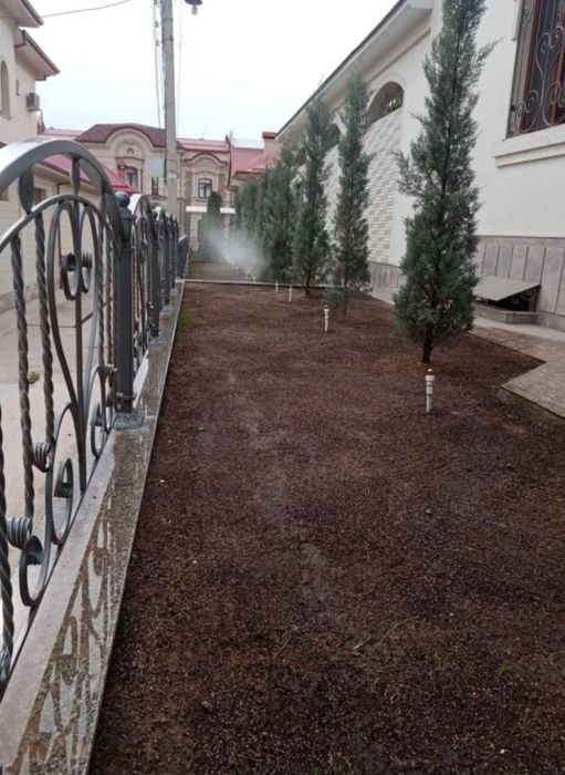 Газон-посев-рулон=гарантия 100%