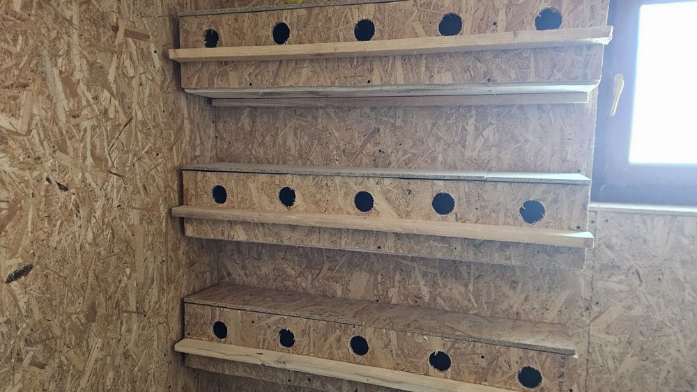 Vând cuibare pentru papagali