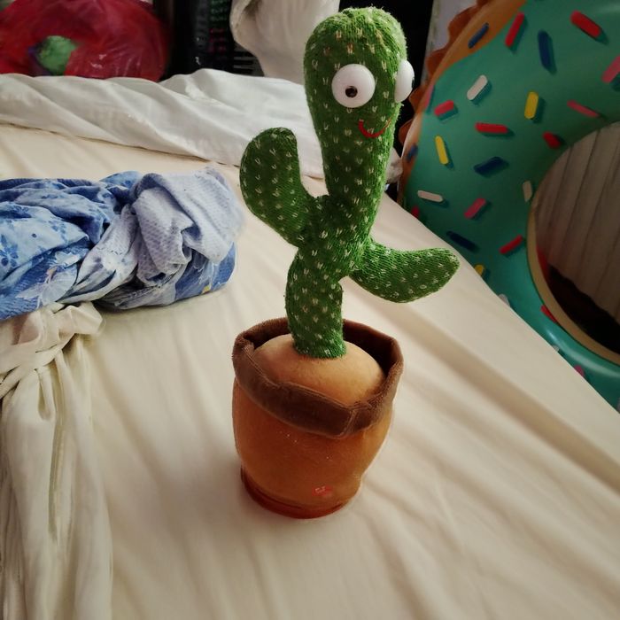 Cactus muzical !!