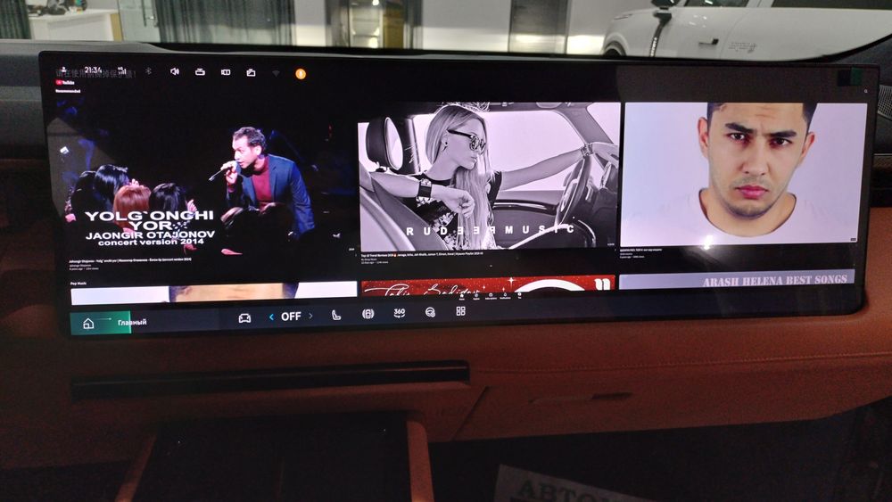 Link & Co, русификация, программа, приложения, сим-карта