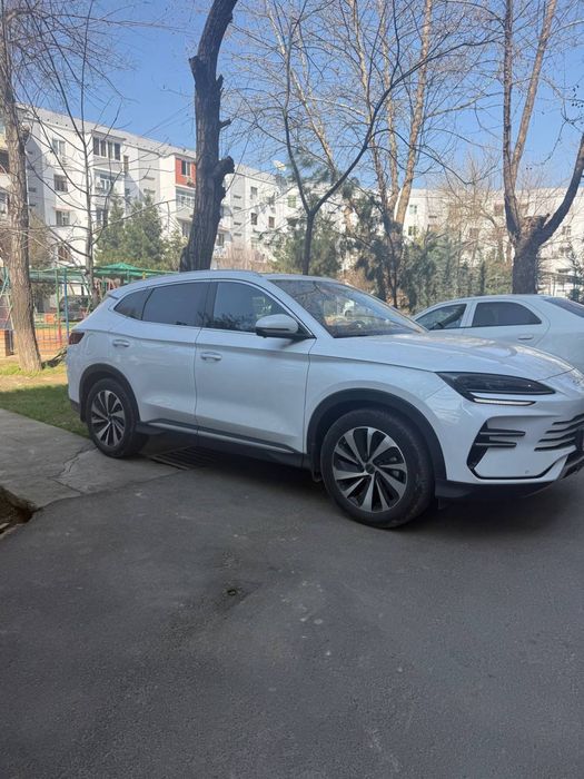 Byd song plus champion