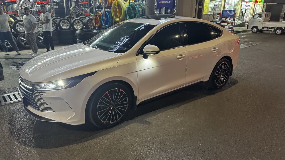 BYD Chazor 120km FULL