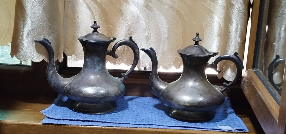 Чайники Индийские новые
