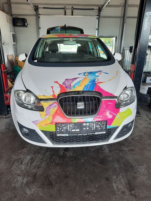 Vand usi, stop, haion Seat Altea
