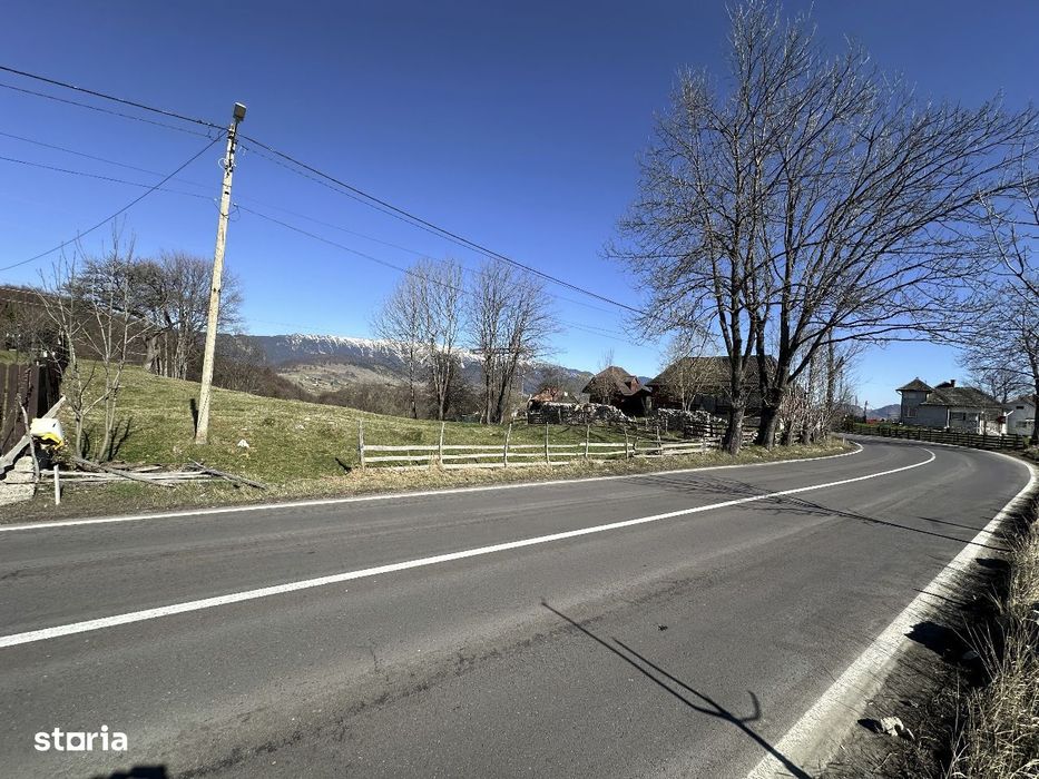 Teren intrvilan 2500 mp Fundata la 15 km de zona Bran Moeciu