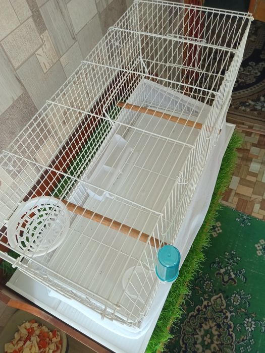 Большая клетка для птиц.