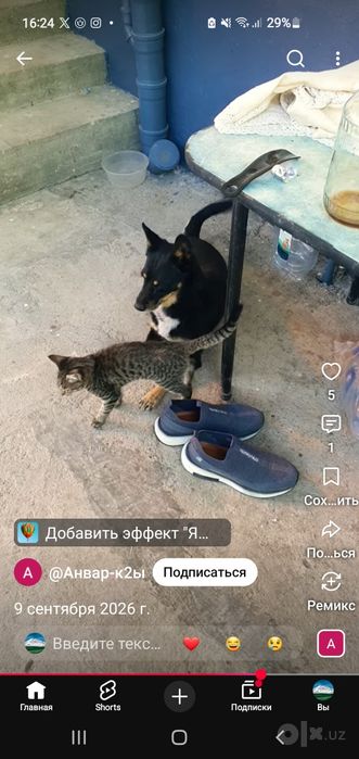 Мушук угил бола жуда акллик ва покиза