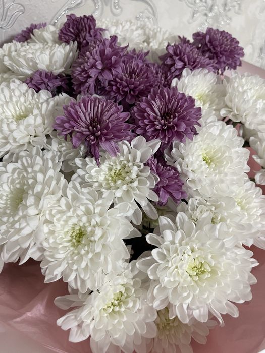 продам цветы свежые !!