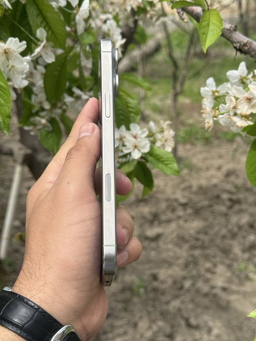 Iphone 16 Pro Max 256 Natural Titanium