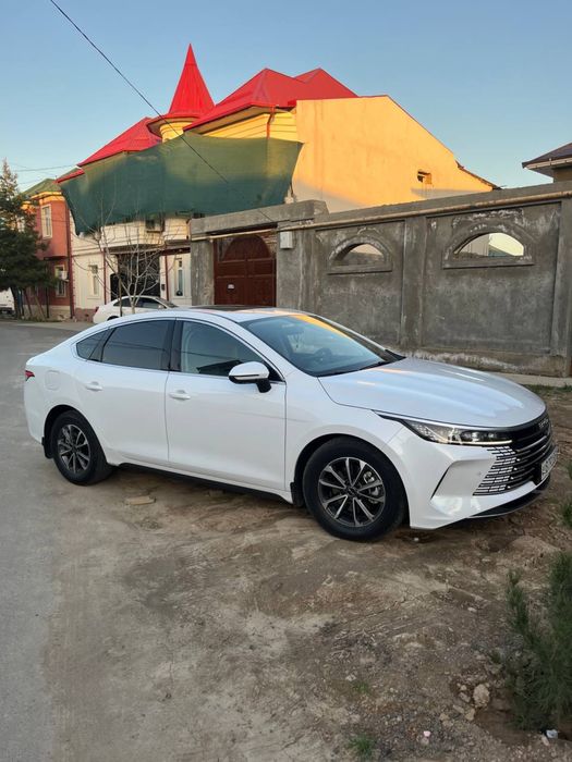Byd chazor 2 pozitsiya lyuklik