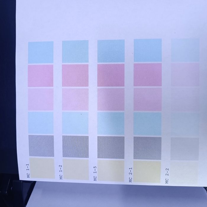 Epson L805 оригинал