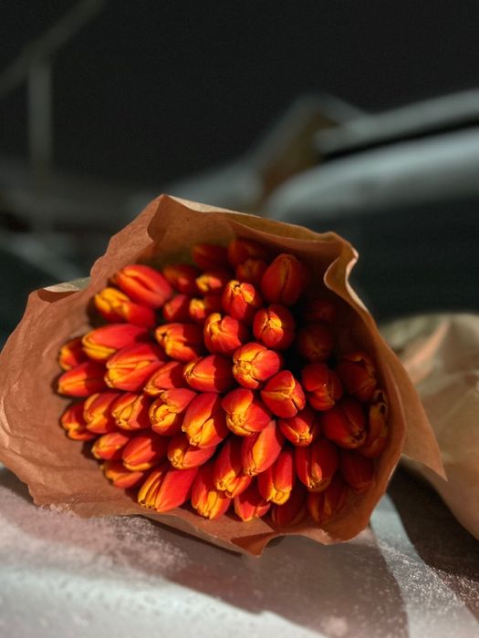 Продажа тюльпанов