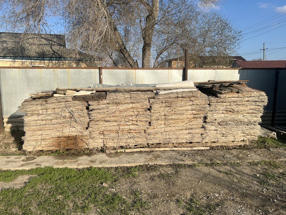 Камыши (қамыстар)