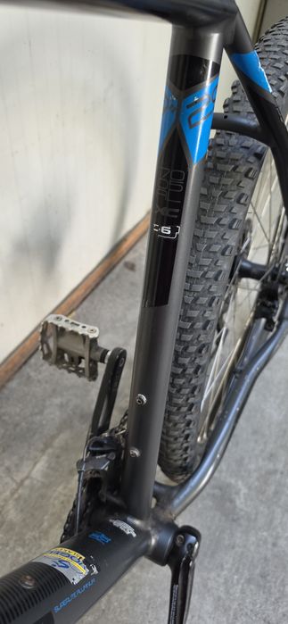 29" bulls compared 3