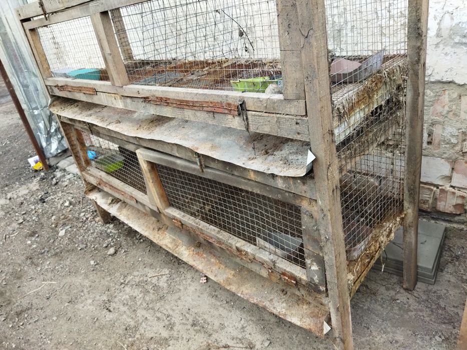 Клетки для кроликов