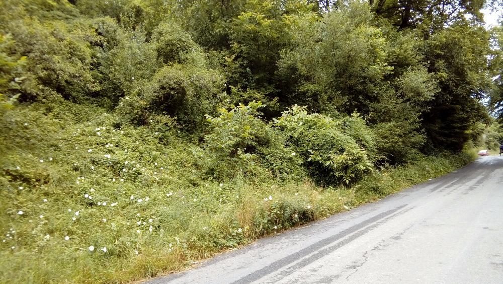 Продава се Парцел в Априлци - 1953 кв.м за 10 €/кв.м - Снимка #1