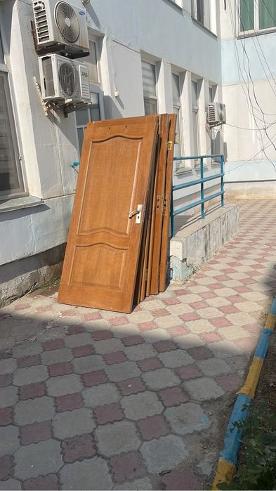 Чорный паталокка есиктер