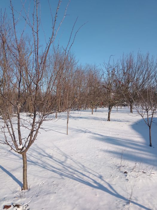 Casă bătrânească 45km de București