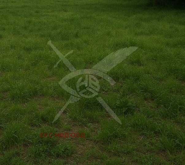 Парцел в Каблешково 94792