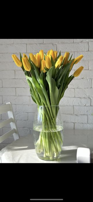 Тюльпаны на 5-6-7-8 марта!