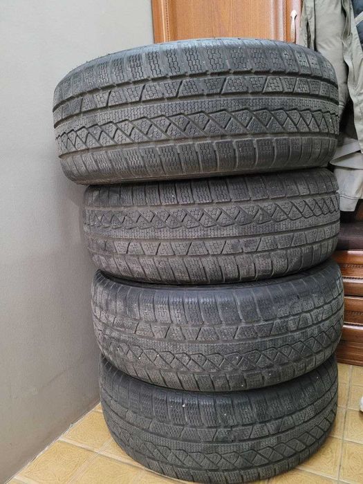 Lassa / Petlas Explero Winter W671 235/55 19 для BYD