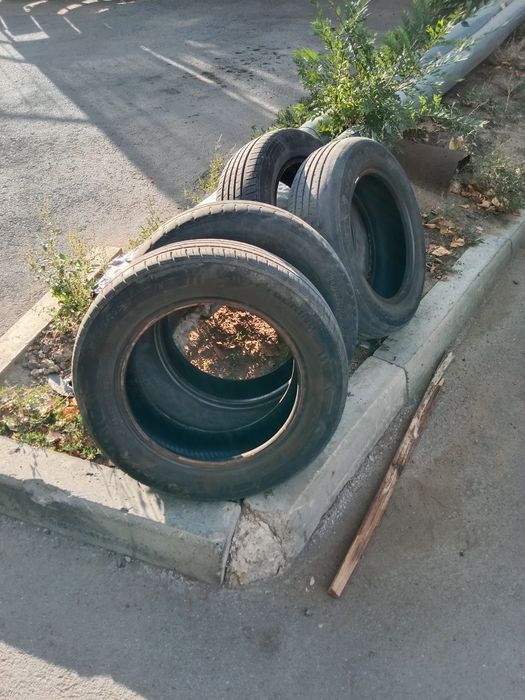 Колёса авто летние