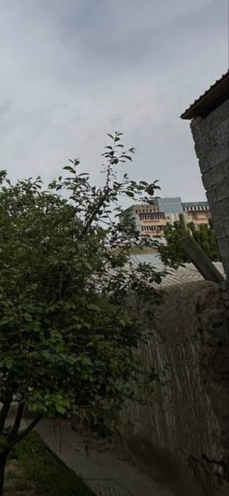 Ховли сотилади 3 сотих