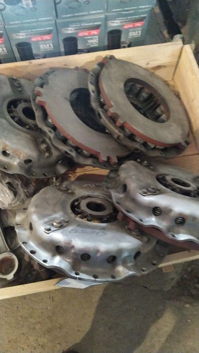 Карзина ципление