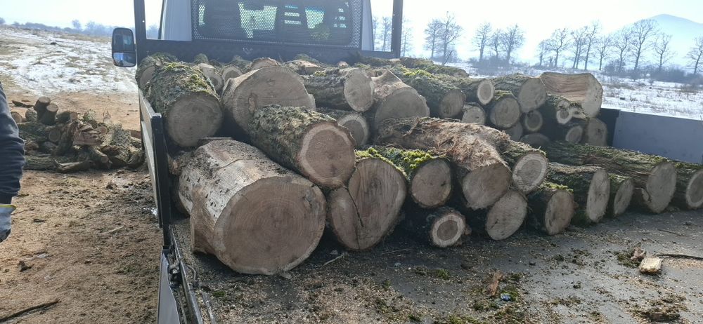 Vand lemn foc de stejar