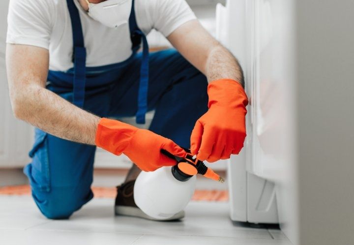 Пръскане против хлебарки