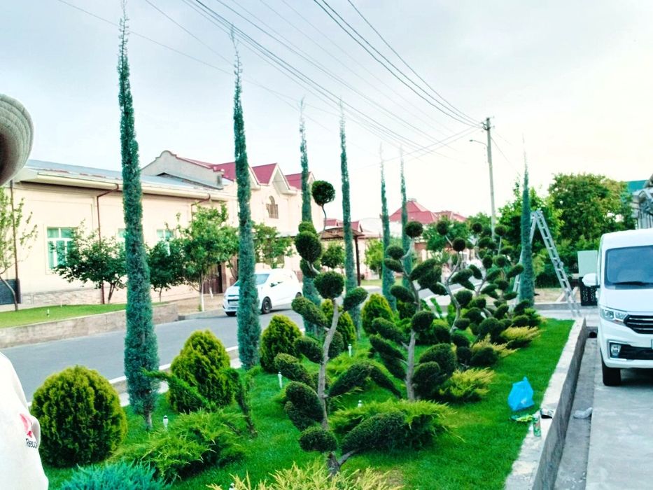 Archa kesish dorilash va Gazon ikkish