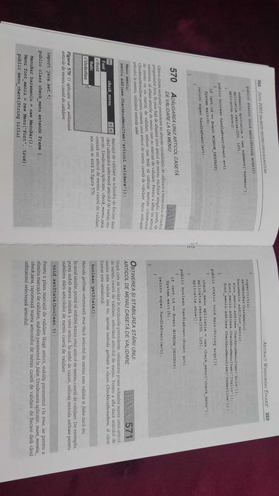 Carte Java 1001 Secrete pentru programatori