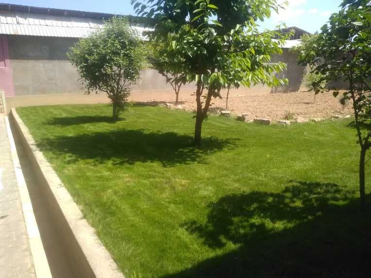 Рулонный Газон! Полив! Посев Газона! Ландшафтный Дизайн!