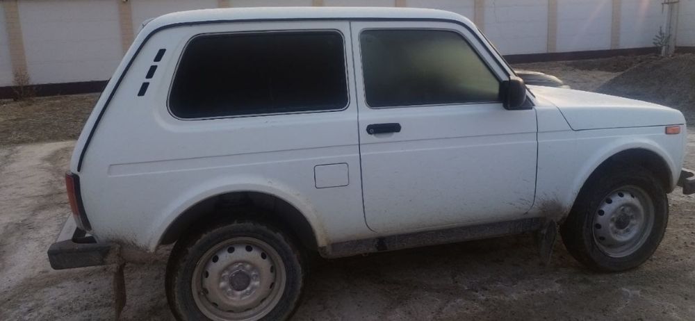 Niva xolati alo darajada