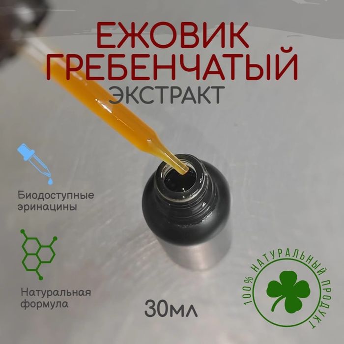 Ежовик гребенчатый Экстракт