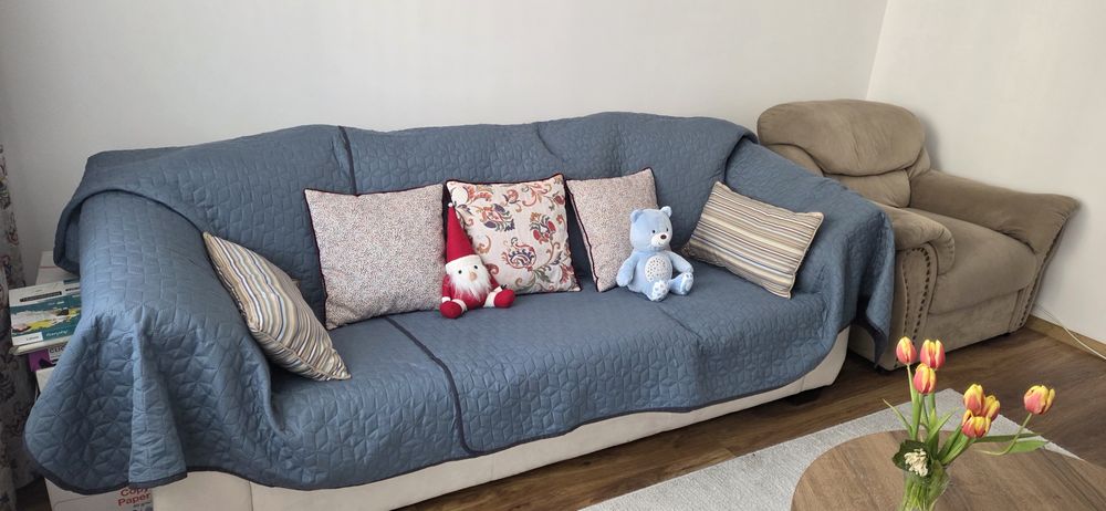 Oferta Canapea extensibilă plus  fotoliu