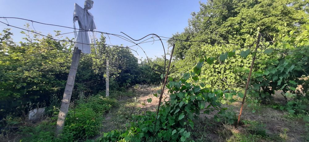 Продава се Земеделски имот в с. Конуш, Област Пловдив -  кв.м за 20000 €/дка - Снимка #1