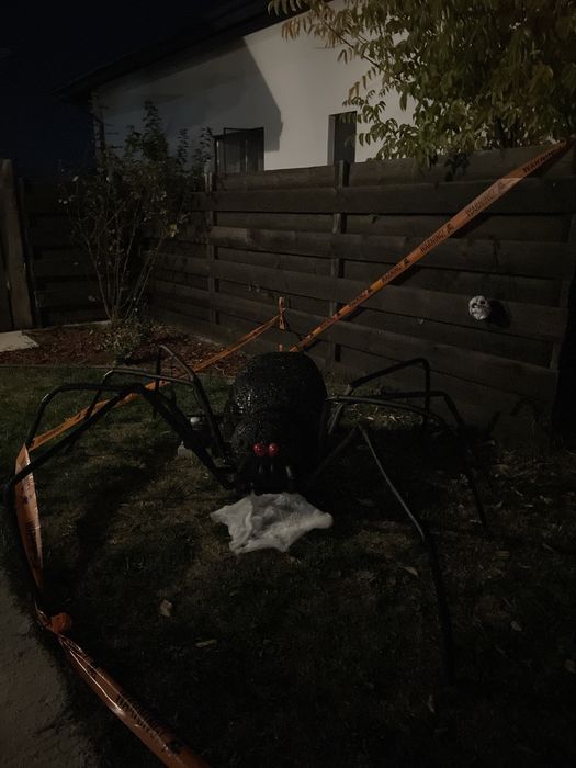 Paianjen urias decor Halloween